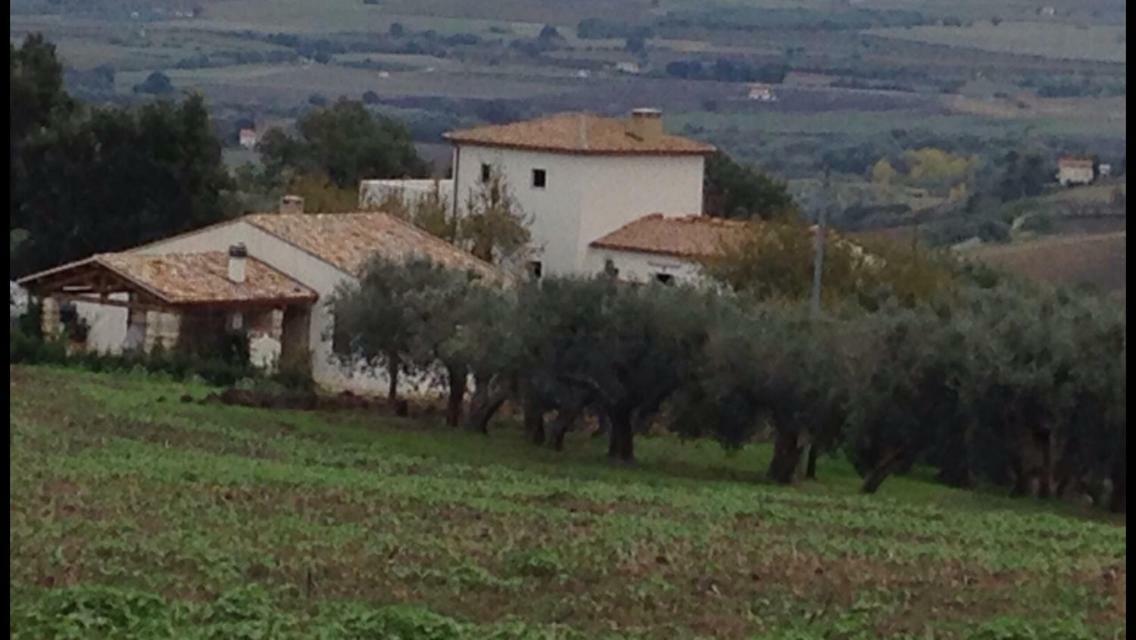 Villa Angiolina, Molise Guglionesi Exteriör bild